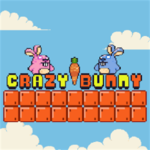 crazy-bunny