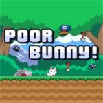 poor-bunny