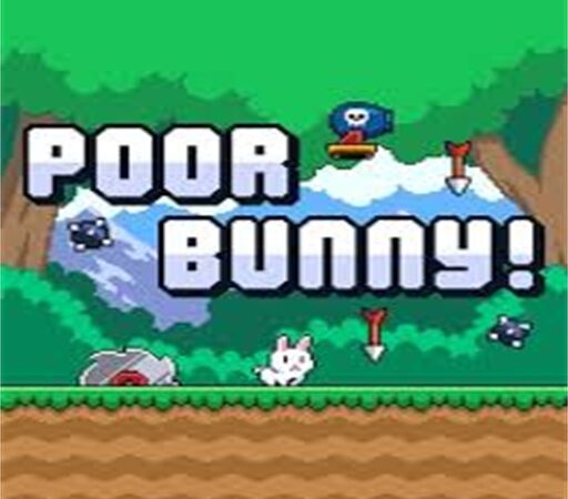 poor-bunny